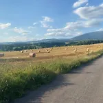 Janovice Rudník