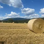 Janovice