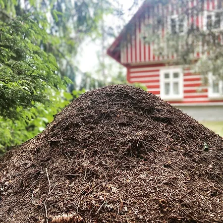 Janovice Holiday home *