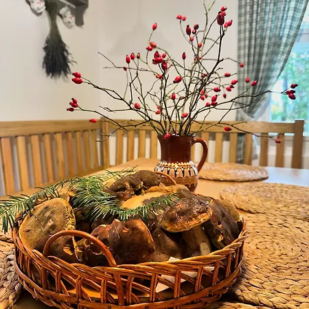 Janovice Feriehus Rudník