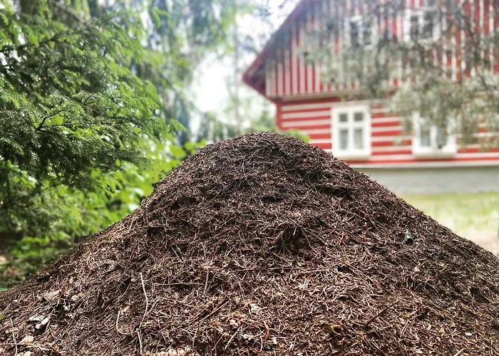 Janovice Дом отдыха *